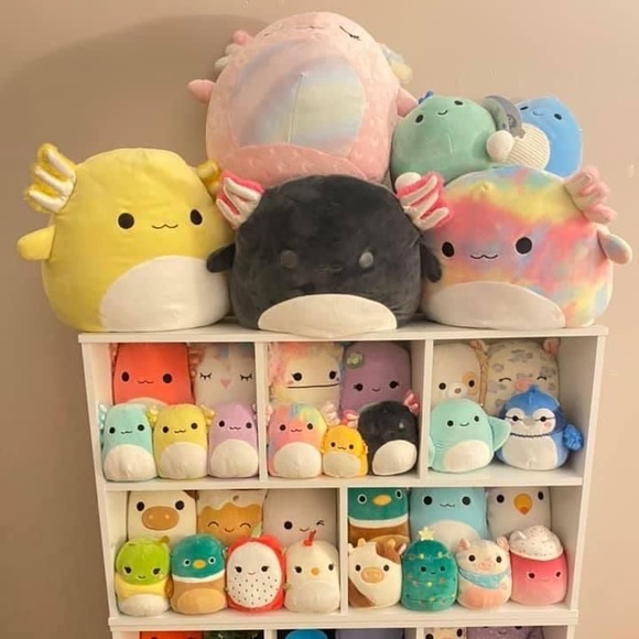 Squishmallows Toys Squishmallow Mystery Box Poshmark